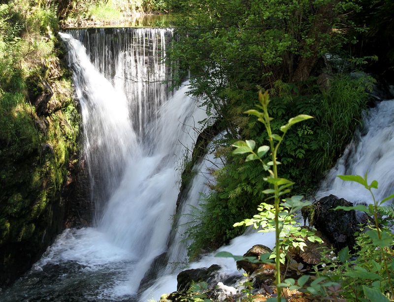 Le Creux camping wandelen waterval Vogezen